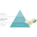 Bouncia Body Soap Refill White Soap Flavor (EN)