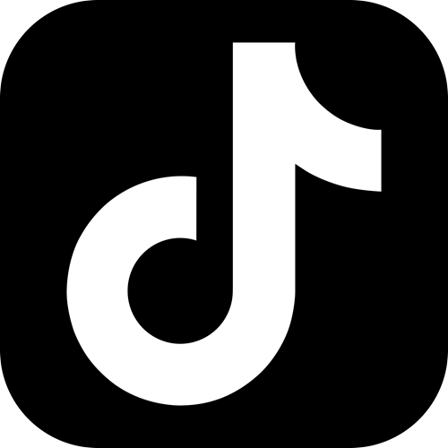 TickTok logo